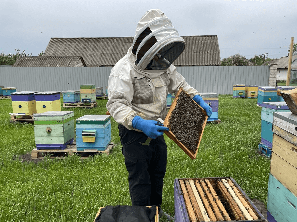 clipboard-image-1748860302