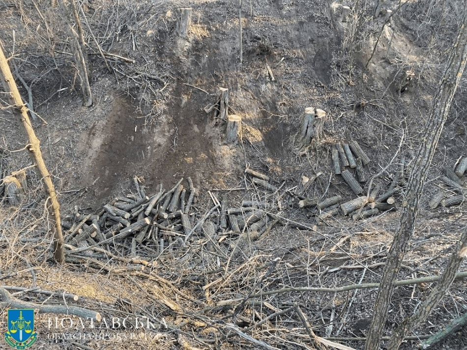 Незаконна вирубка на понад мільйон гривень: у Полтавському районі викрили групу осіб, яка знищувала ліси