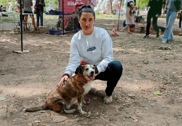 У Полтаві лише два майданчики для вигулу собак — чому цього недостатньо