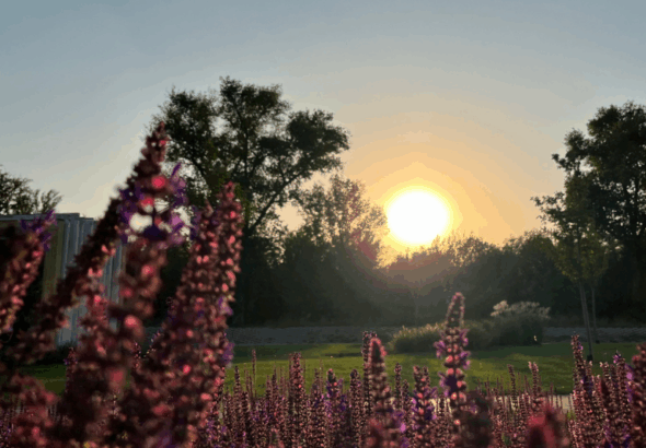 Кліматичні особливості Полтавщини: детальний гід для мешканців та гостей міста 🌤️