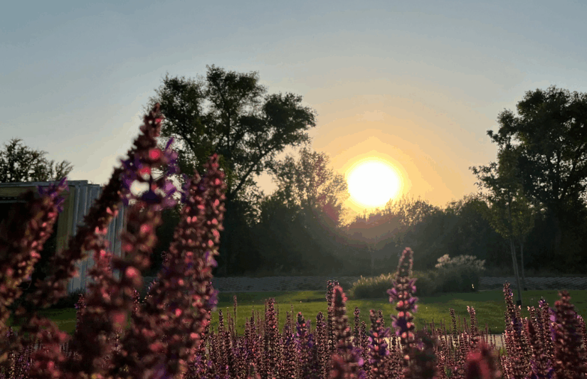 Кліматичні особливості Полтавщини: детальний гід для мешканців та гостей міста 🌤️