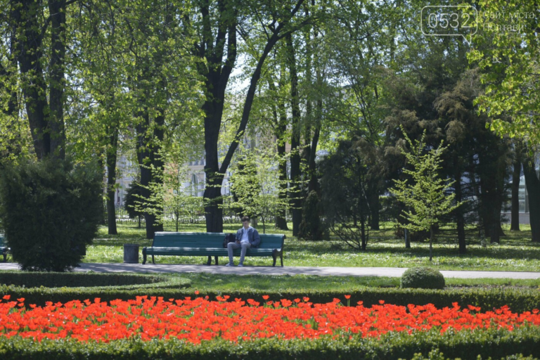 Як цвіте Полтавщина навесні 🌿